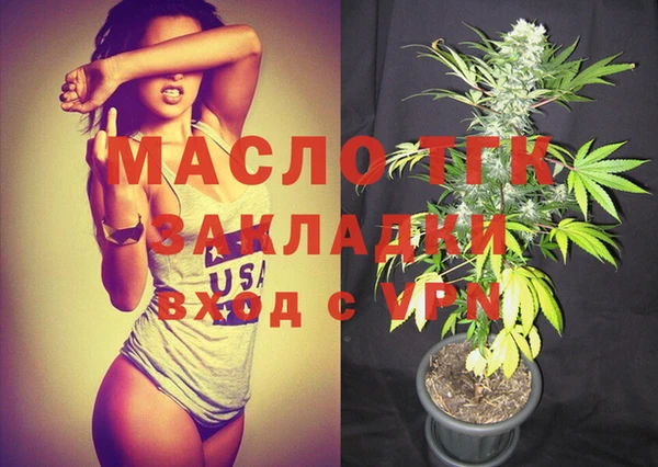 стаф Дмитриев