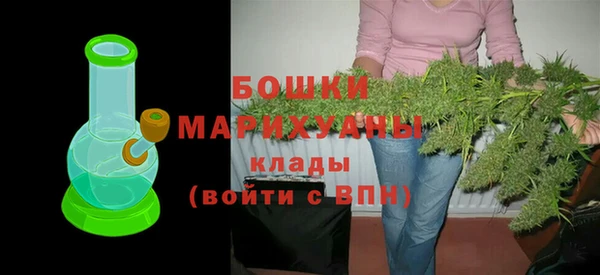 стаф Дмитриев