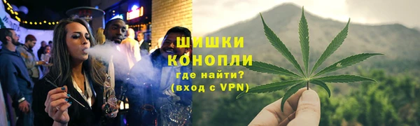 стаф Дмитриев