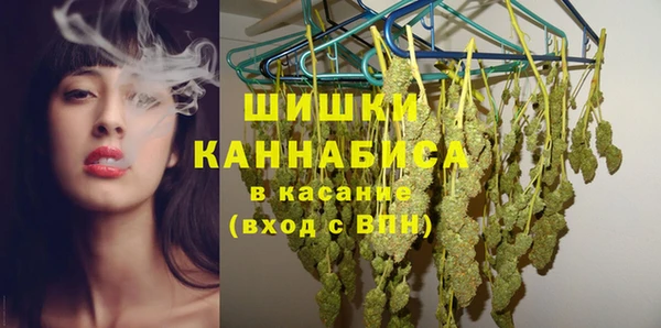 стаф Дмитриев