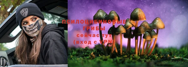 стаф Дмитриев