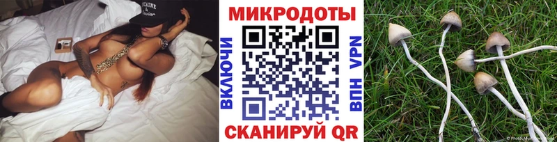 Галлюциногенные грибы MAGIC MUSHROOMS  hydra как войти  Домодедово 