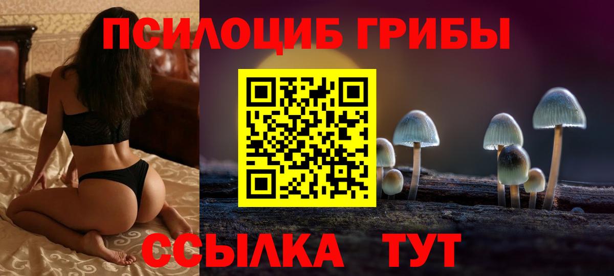 Домодедово  где купить   Вход с VPN  Галлюциногенные грибы мицелий 