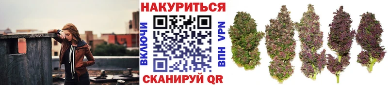 магазин Домодедово ссылка на мегу ССЫЛКА Каннабис семена